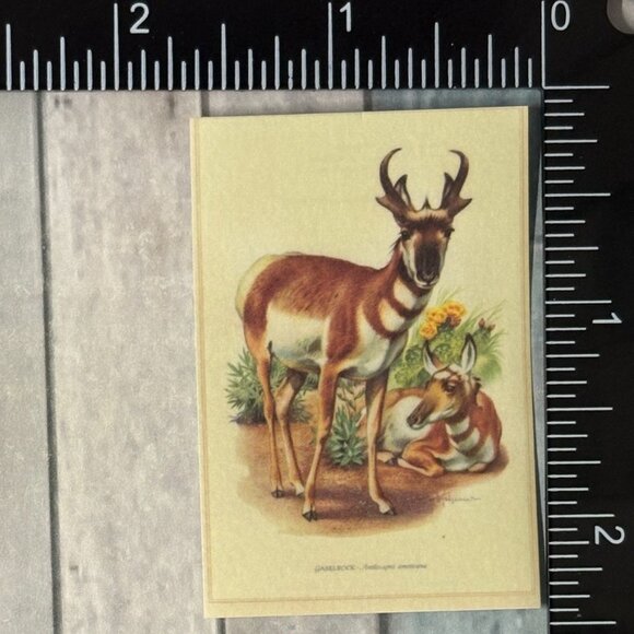 🌀10/$10🌀 Classic Hoofed Beasts Reusable Washi Sticker Decal - Picture 1 of 1